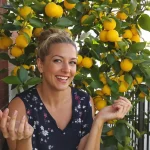 Citronnier qui ne donne rien : enterrez ce déchet de cuisine au pied, il se couvre de fruits